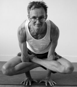 Kukkutasana/Rooster pose